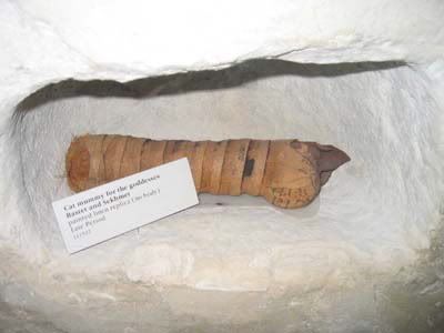 [Above - Mummified cat from the Late Period, taken at the Field Museum, 