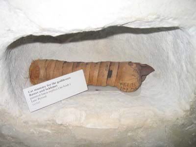 [Above - Mummified cat from the Late Period, taken at the Field Museum, [Above - Mummified cat from the Late Period, taken at the Field Museum,
