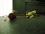 background2.jpg image by scriptlogic651