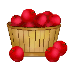basket of apples Pictures, Images and Photos