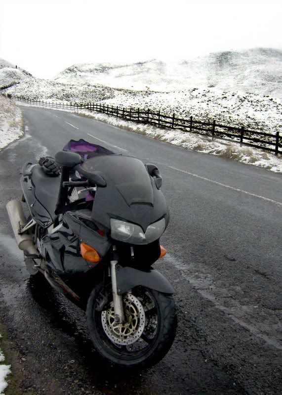 2008_aprilsnowbikeedaleF30002.jpg