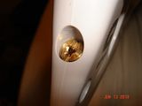 th_DSC00730.jpg