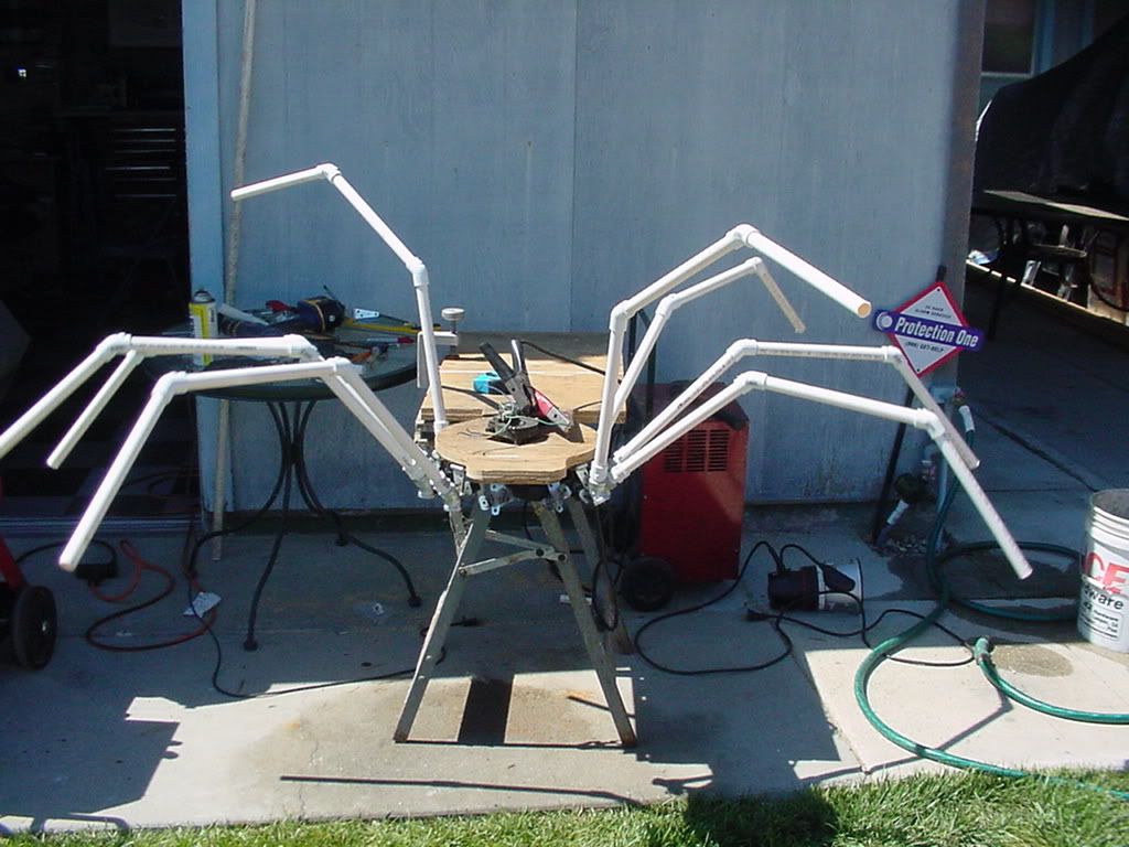 spiderrev-B012.jpg