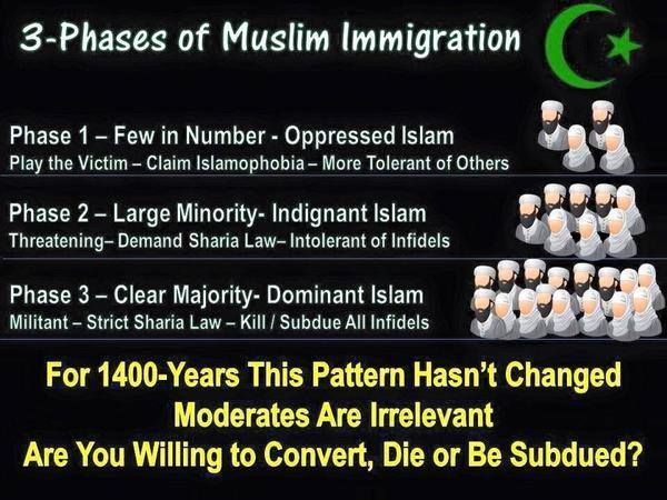  photo 3 PHASES OF IMMIGRATION_zps5oahsido.jpg