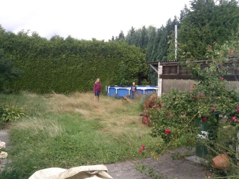 [img width=800 height=600]http://i68.photobucket.com/albums/i13/crisjecris/Fotos0001.jpg[/img]