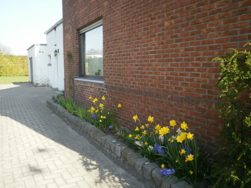 [img width=800 height=600]http://i68.photobucket.com/albums/i13/crisjecris/P3280268.jpg[/img]