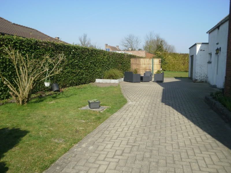 [img width=800 height=600]http://i68.photobucket.com/albums/i13/crisjecris/P3280269.jpg[/img]