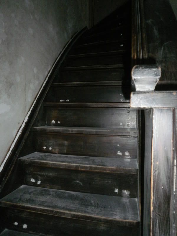 [img width=600 height=800]http://i68.photobucket.com/albums/i13/crisjecris/PA240247.jpg[/img]