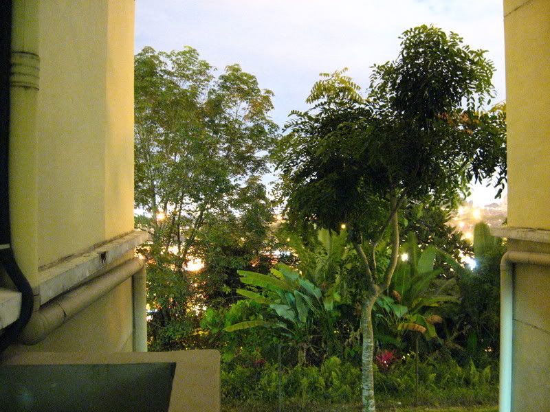 IMAGE: http://i68.photobucket.com/albums/i15/sniper_44/IMG_9974.jpg