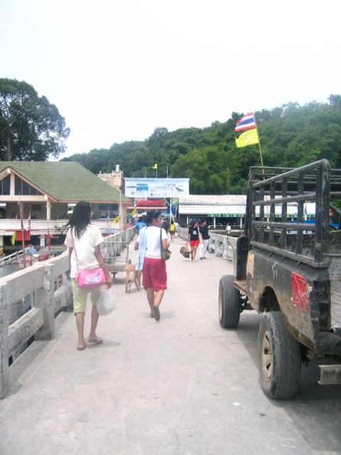 IMG_2377.jpg