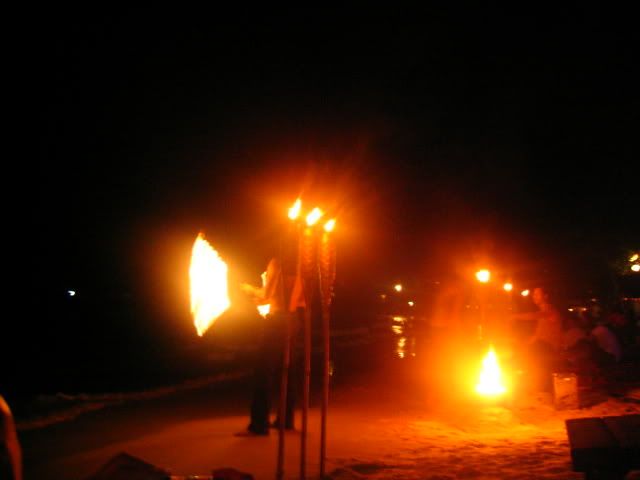 IMG_2390.jpg