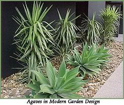 View topic - No grass backyards • Home Renovation & Building Forum