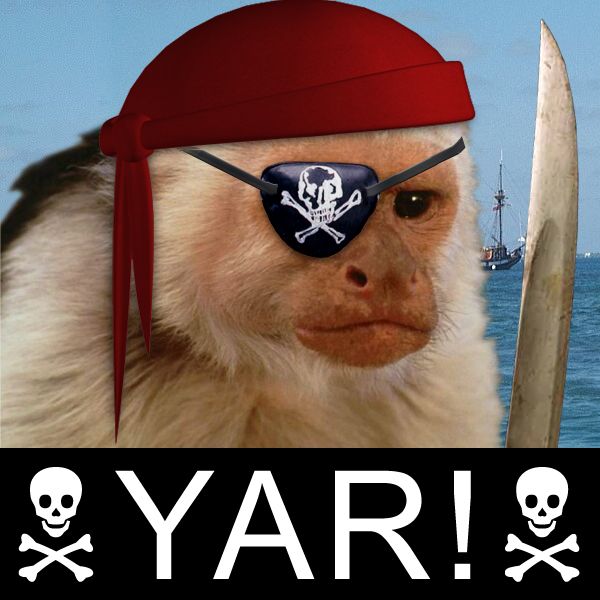 Pirate_Monkey.jpg