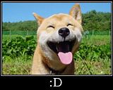 smile.jpg image by fubudapoo