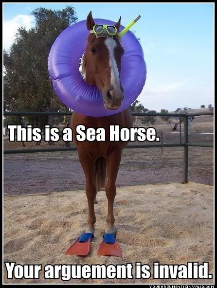 seahorse.jpg