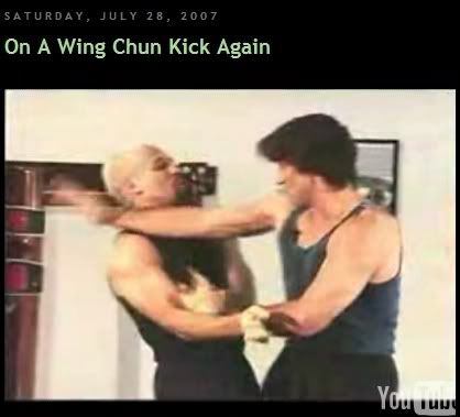 DR on Wing Chun