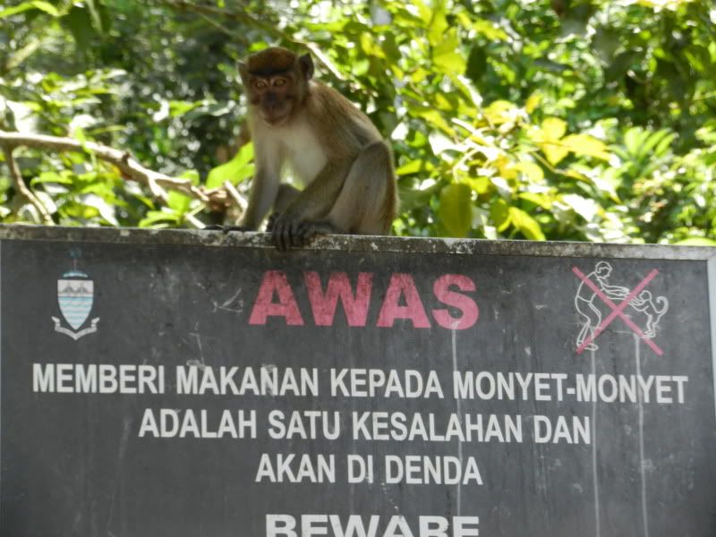 Few pics from business trip - Countryside Families