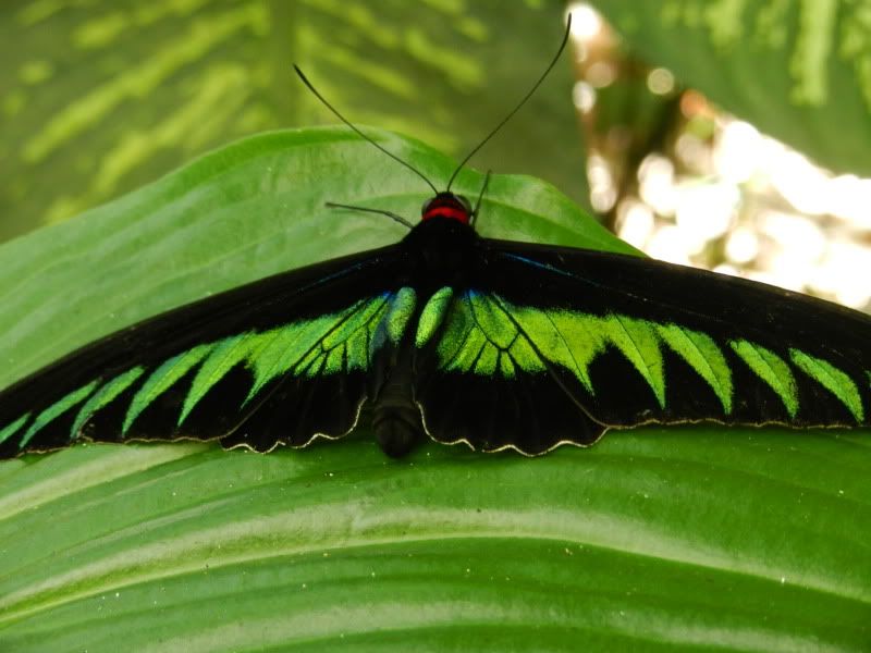 Few pics from business trip - Countryside Families