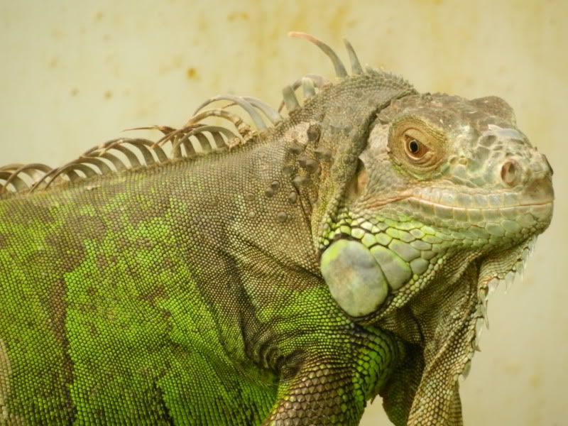 Few pics from business trip - Countryside Families