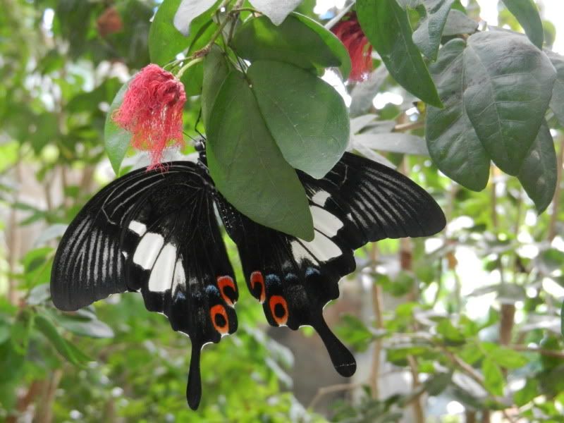 Few pics from business trip - Countryside Families