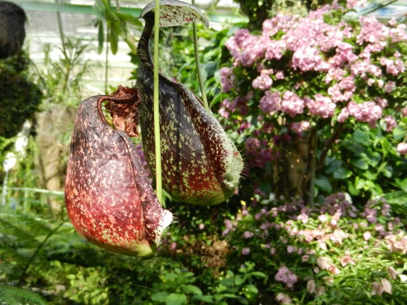 Few pics from business trip - Countryside Families