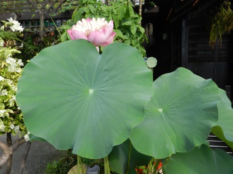 Few pics from business trip - Countryside Families