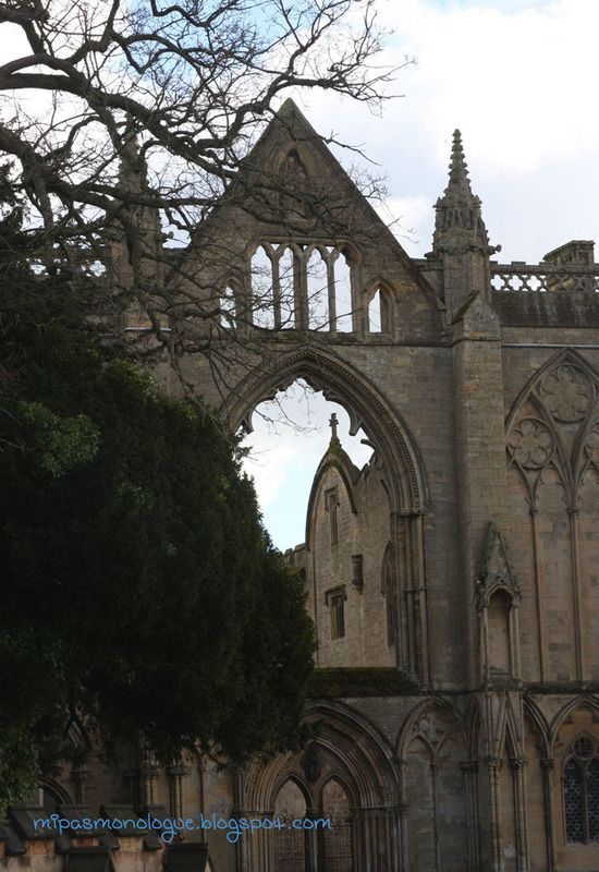  photo newstead-abbey_zpswxvuam9m.jpg