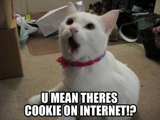 internet_cookies1.jpg