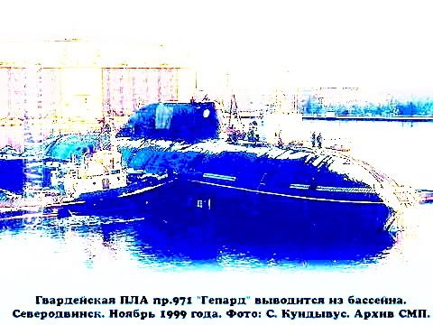 Gepard-08bis.jpg