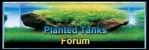 http://www.plantedtanks.proboards107.com/index.cgi?