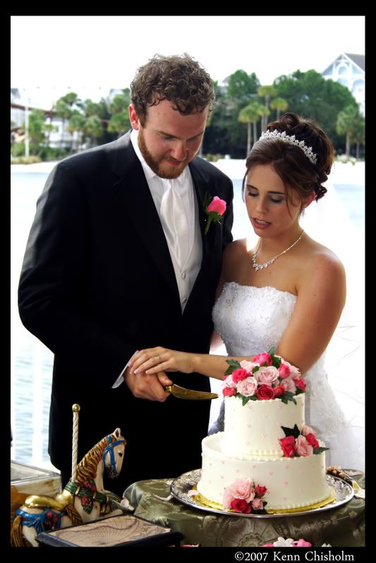 IMAGE: http://i68.photobucket.com/albums/i27/genericoffset/lisa%20dan%20wedding/WEDDING6.jpg