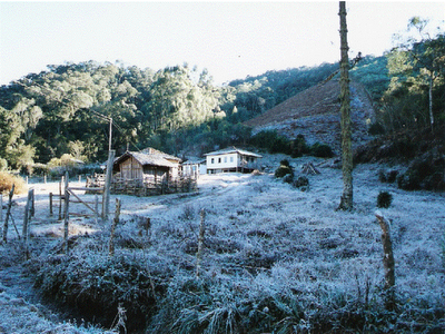 Fotos do Frio e Geada