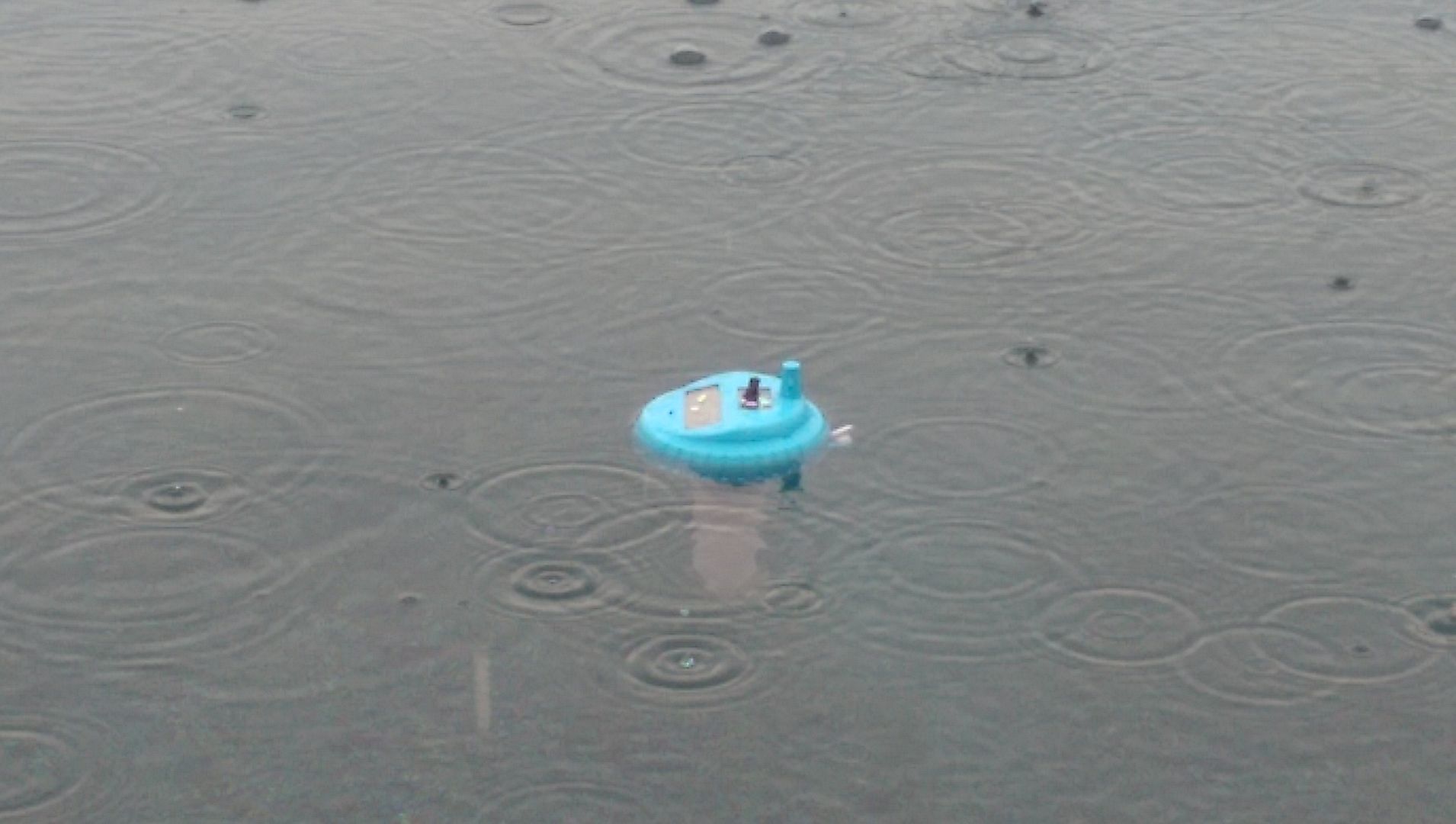Frog%20on%20thermometer_zps6mrej2po.jpg