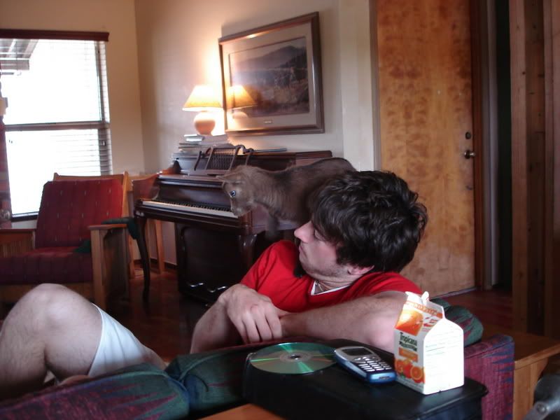 Let's see your goats in the house photos - Goats