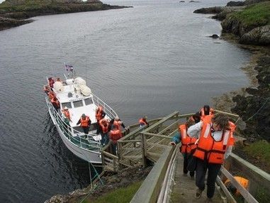 Подготовка к круизу HAL Ryndam вокруг Исландии с 20.06.15