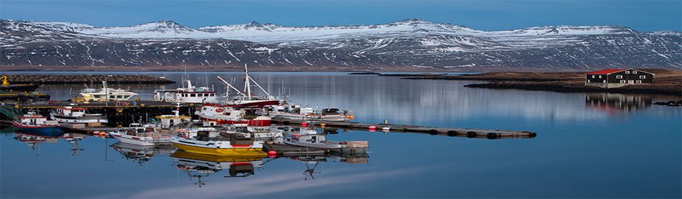 Подготовка к круизу HAL Ryndam вокруг Исландии с 20.06.15