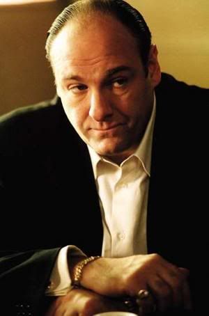 jamesgandolfini_narrowweb__300x4540.jpg