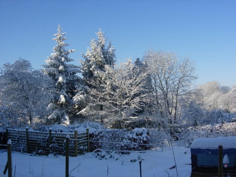 001-2.jpg