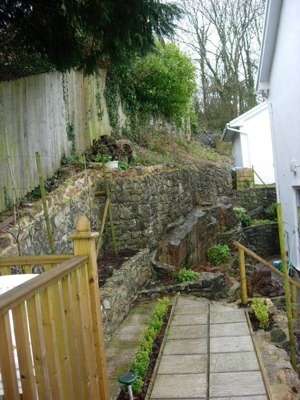 garden003.jpg