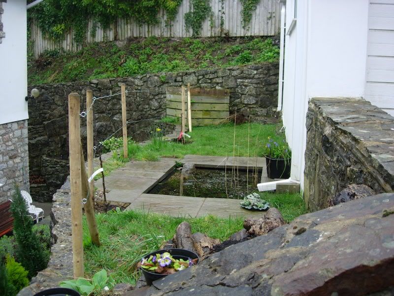garden08019.jpg