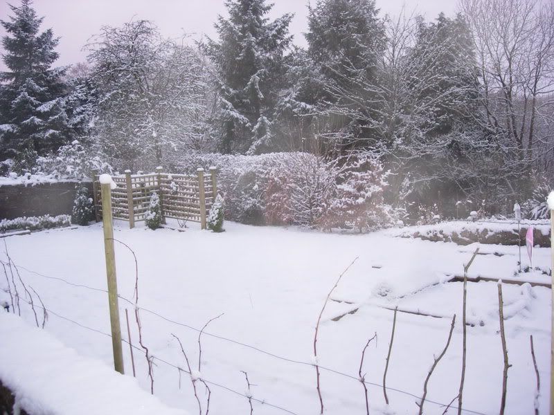 snowfeb309006.jpg