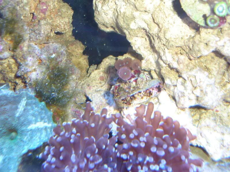DSC00506.jpg