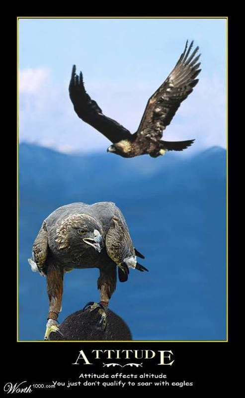 Attitude Pictures, Images and Photos