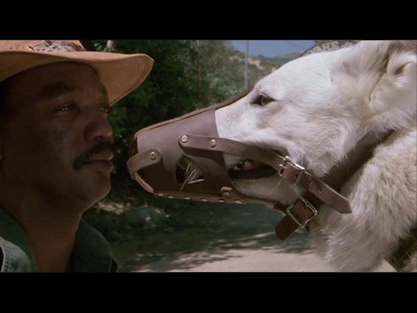 Recalled+movie+bow+wow