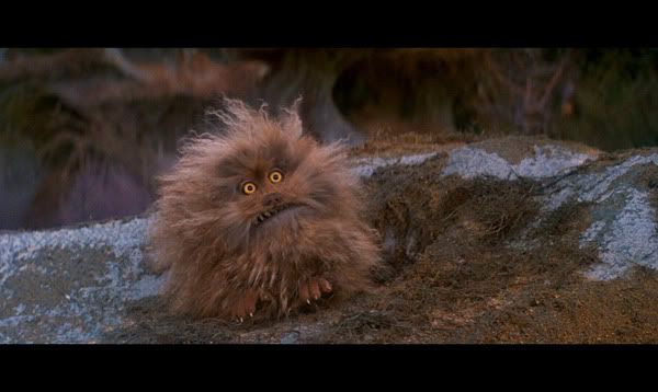 OMFG. This lil' guy.