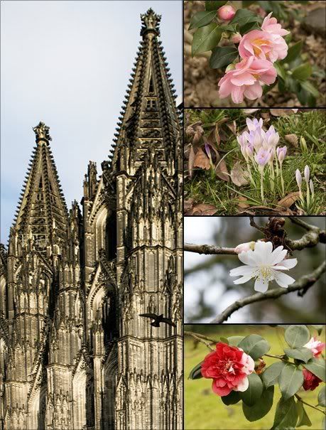 Mitte Januar, Köln