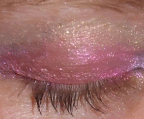 EOTD.gif