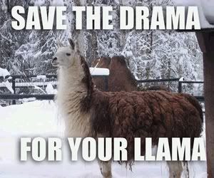 save the drama for ur llama