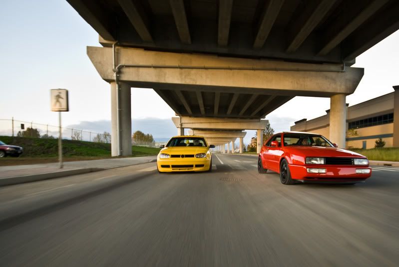 Ketchup & Mustard. VW Vortex Volkswagen Forum
