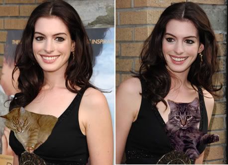 cats and anne hathaway Pictures, Images and Photos